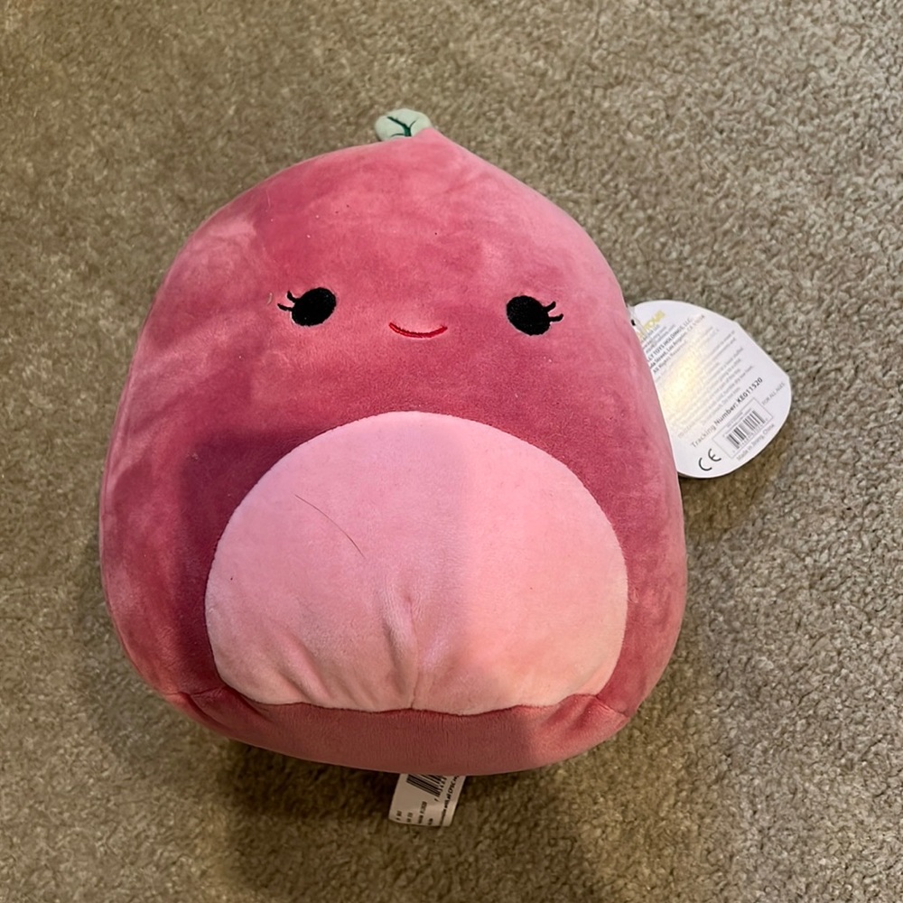 Cherry the Cherry Squishmallow